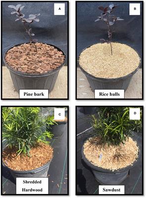 Mulching as a weed management tool in container plant production - review